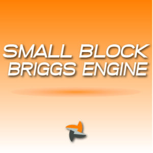 Small Block Briggs Engine